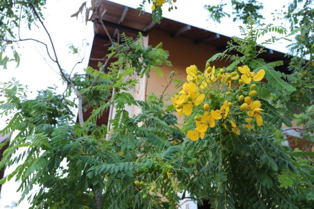 Lolu Village Resort Anuradhapura Exterior foto